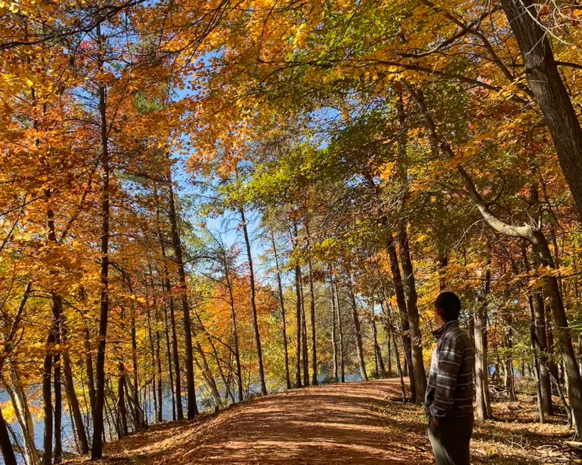 Schmeeckle in the fall