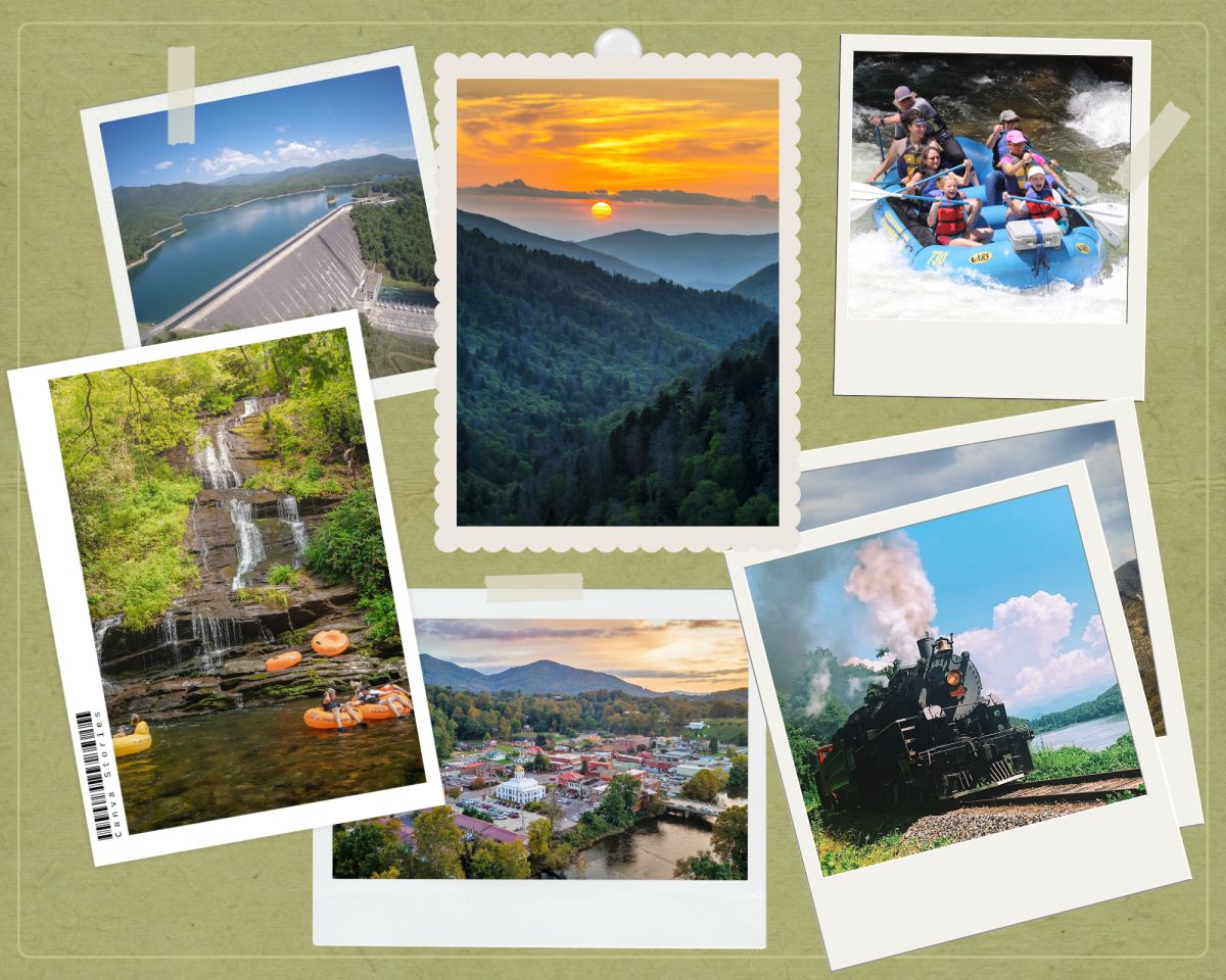 Media Photo Collage