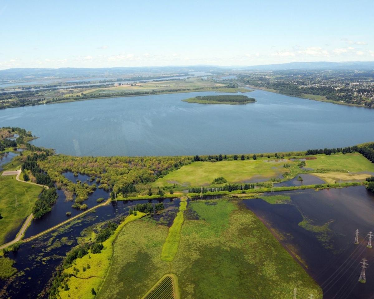 Vancouver Lake