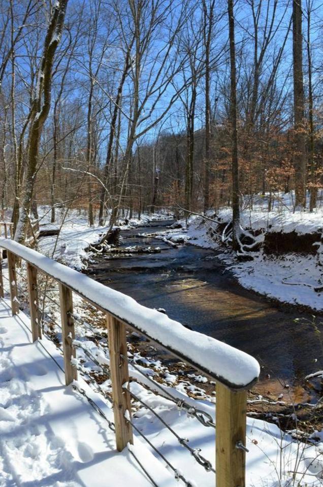 snow covered bridge by a creek in the woods