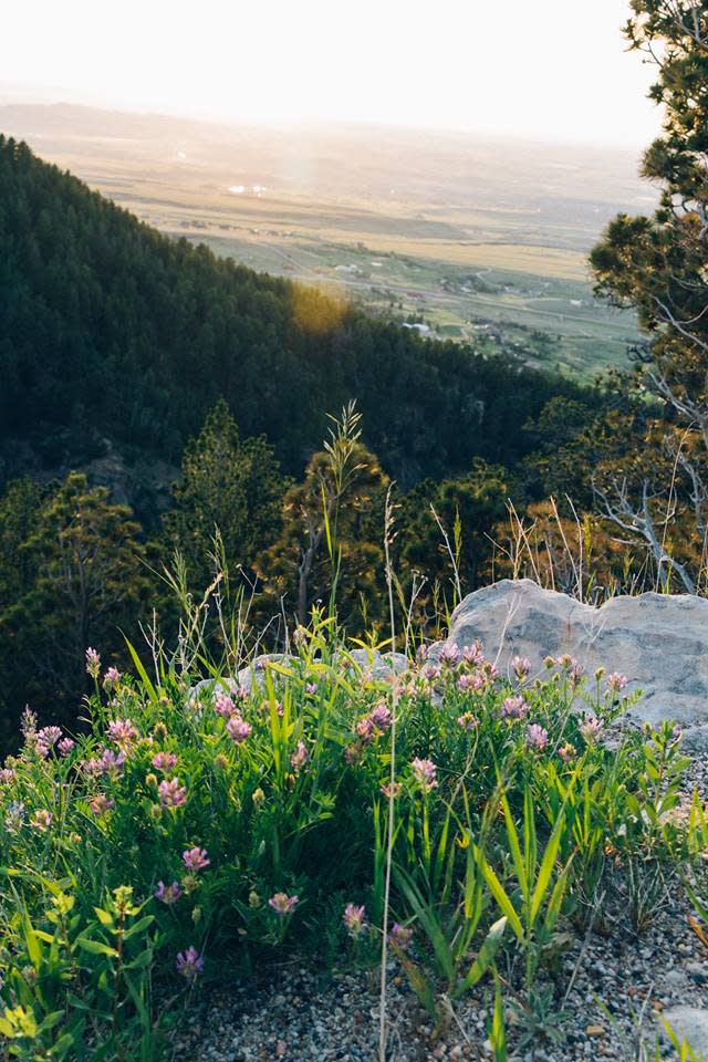 Spring Wilderness View of Capser, WY