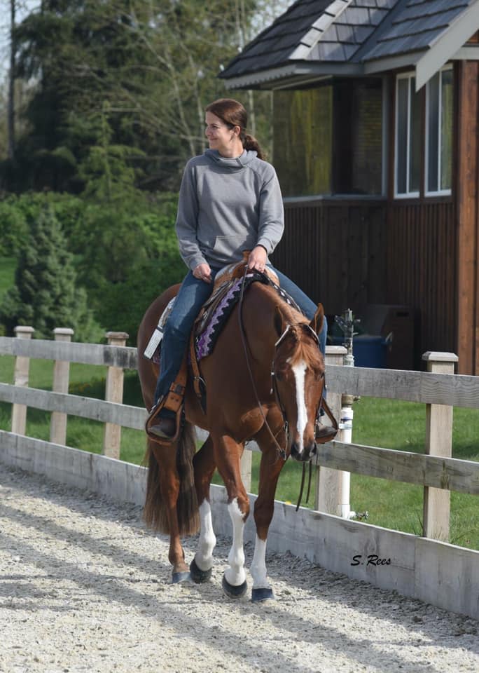 Lauren Lander Horse Show