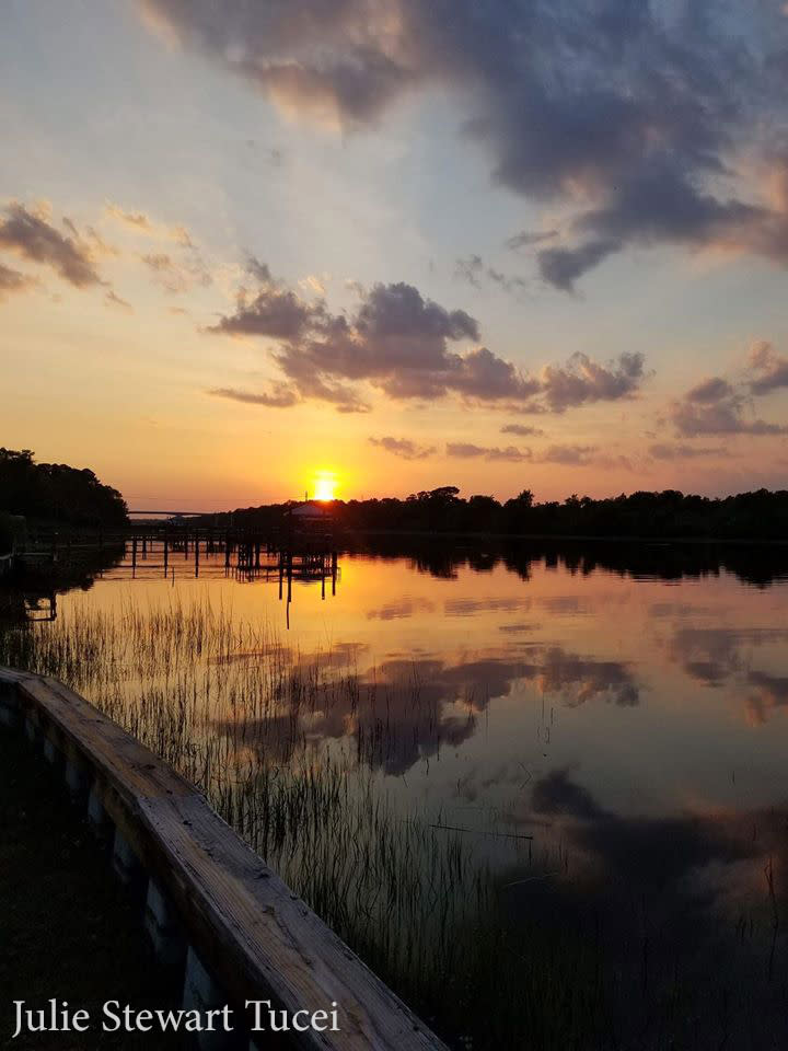 Julie Stewart Tucei_2020 photo contest first place winner