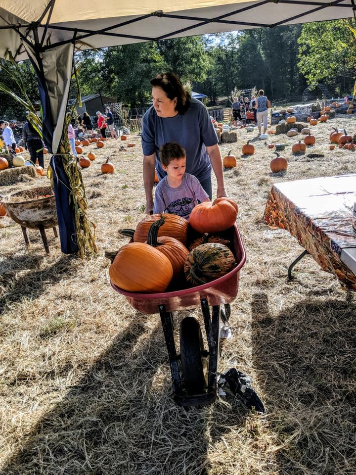 Comfy Funky Pumpkin Patch