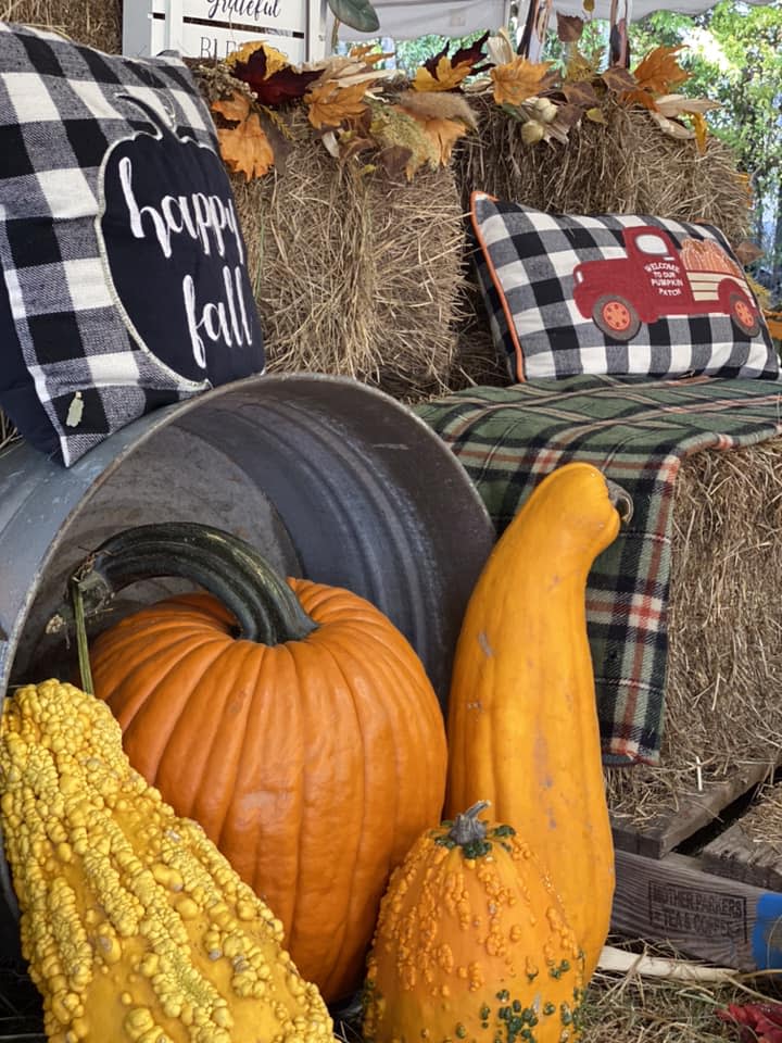 Pumpkins and gourds for Halloween from Jim's Pumpkins in Mandeville