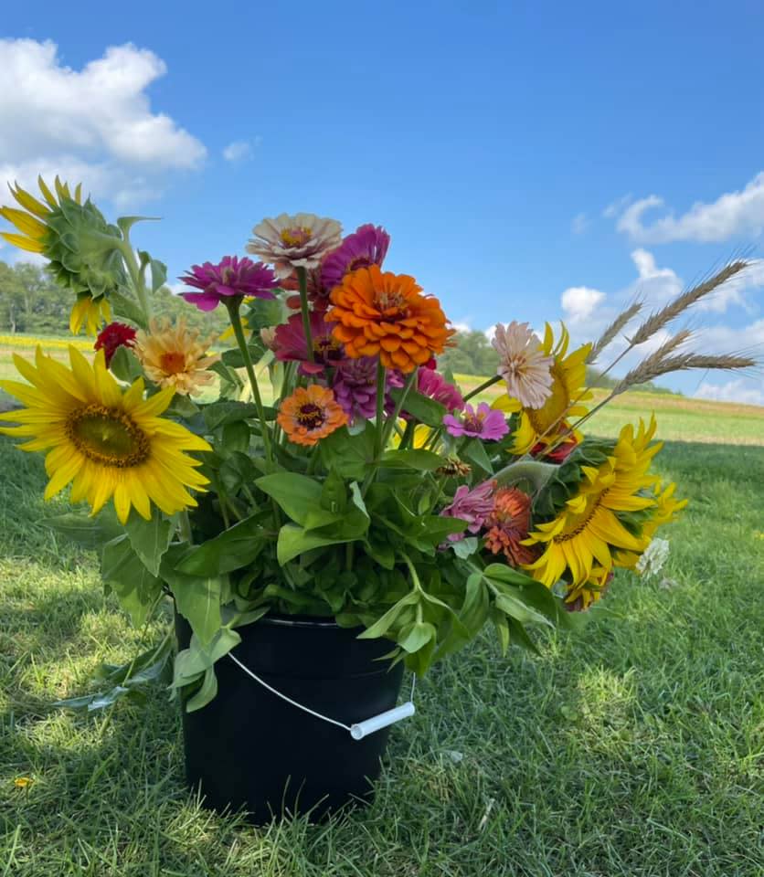 Maple Bottom Farm Flowers