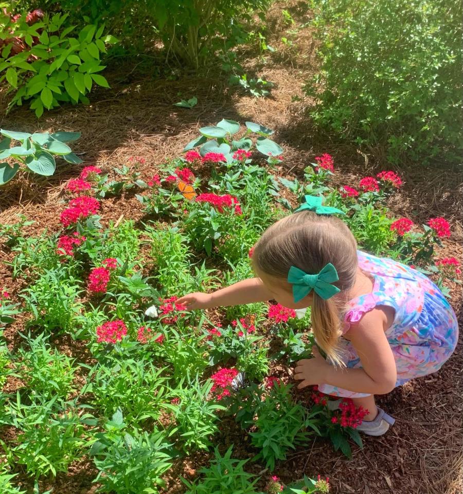 Purdy Butterfly House - Huntsville Botanical Garden