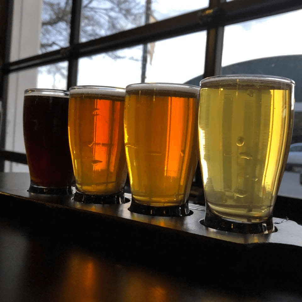 A lineup of four beer glasses showcasing a variety of brews from Freedom's Edge Brewing Company, backlit by a window.
