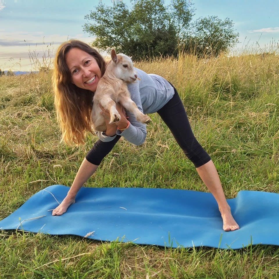 Goat Yoga in Galena IL