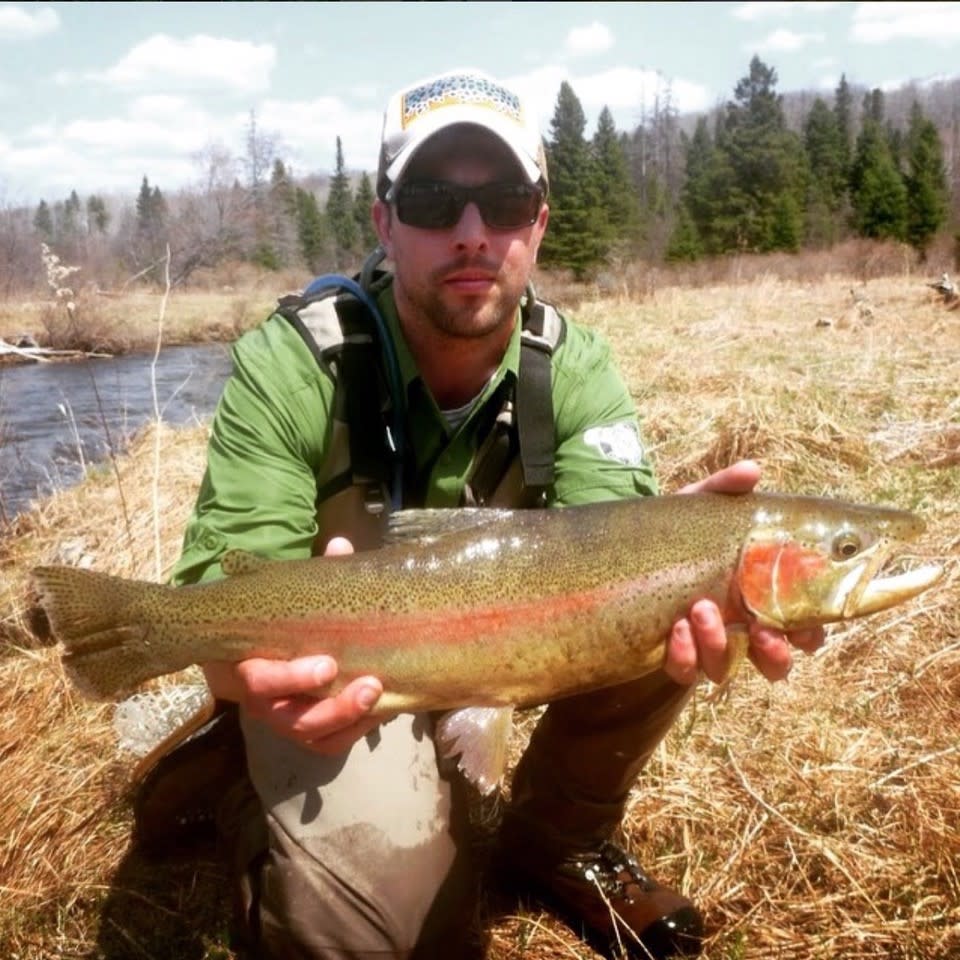 blog_logan-trout