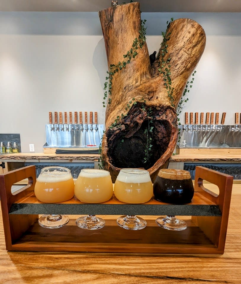 Flight of beer made up of 5, 5oz pours of beer.