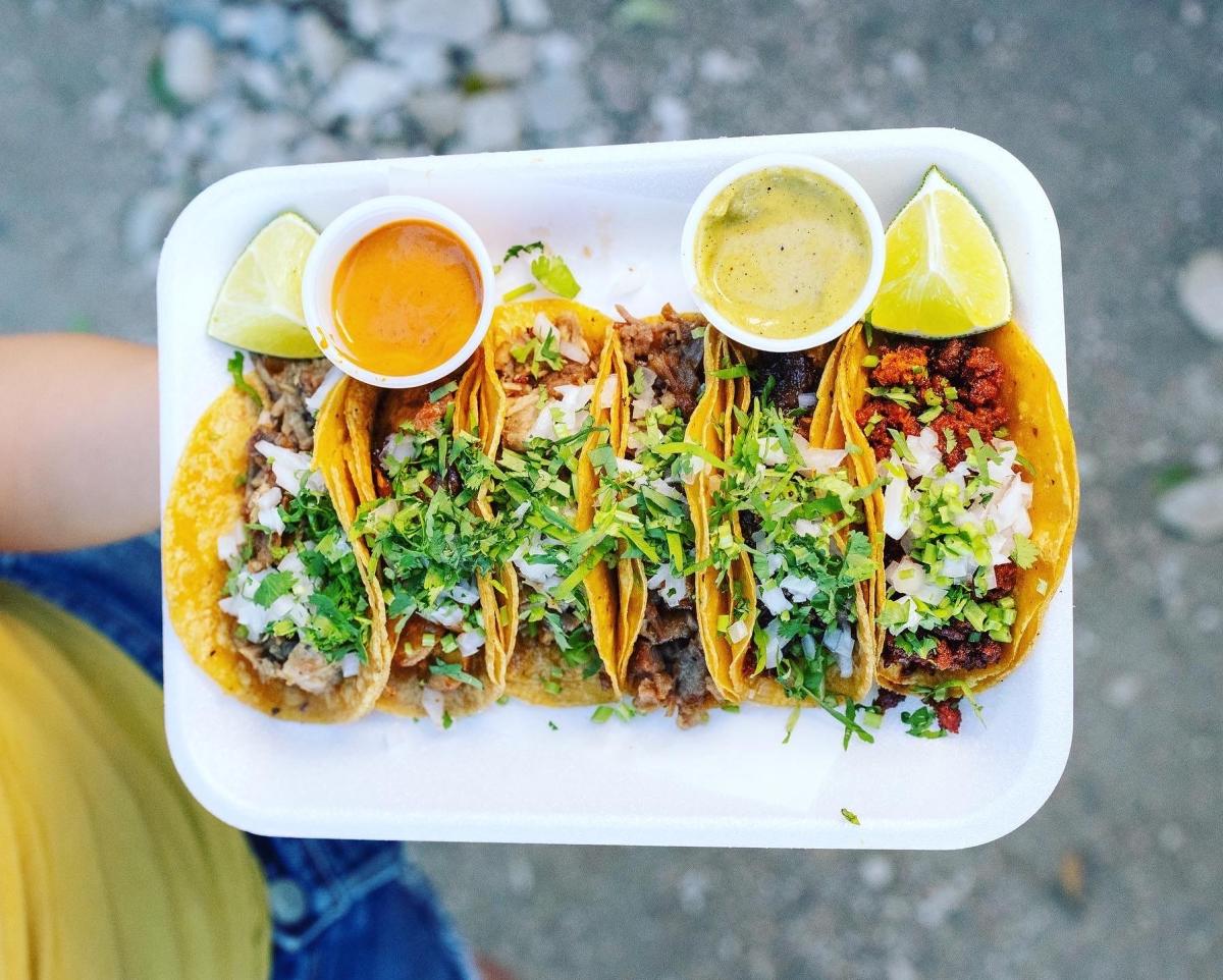 Image of someone holding a white tray with six street tacos topped with onion and cilantro from Cuantos Tacos.
