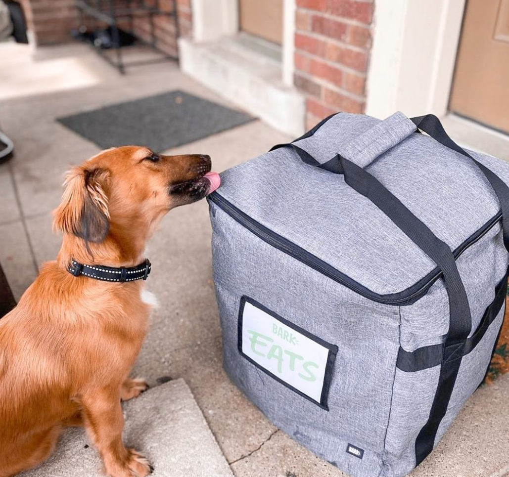 Dog posing with his BarkEats delivery