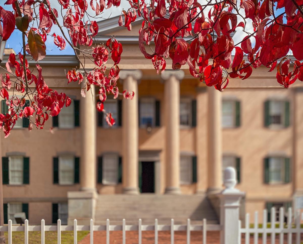 Mansion Fall Image