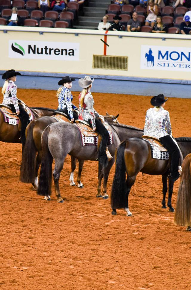 Oklahoma City Horse Shows Equestrian Events Rodeos