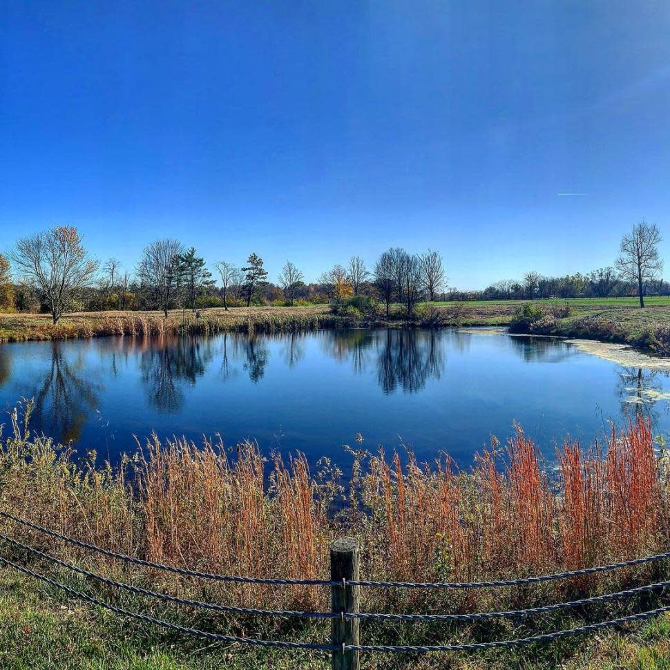 Parky's Farm at Winton Woods (photo: Instagrammer @jeaunbear) Parky's Farm at Winton Woods (photo: Instagrammer @jeaunbear)