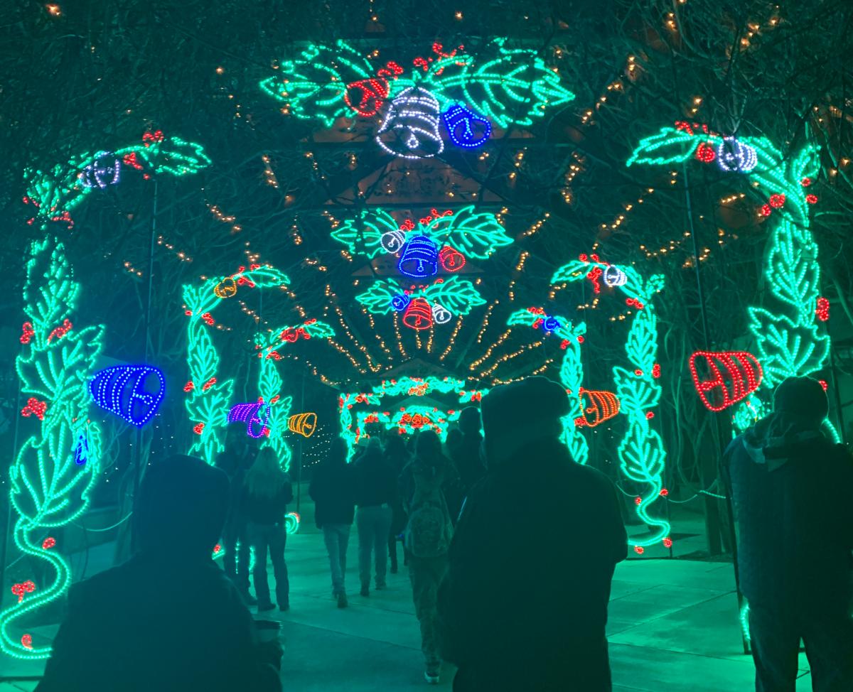 The ceremonial garden at the ABQ BioPark during the River of Lights.