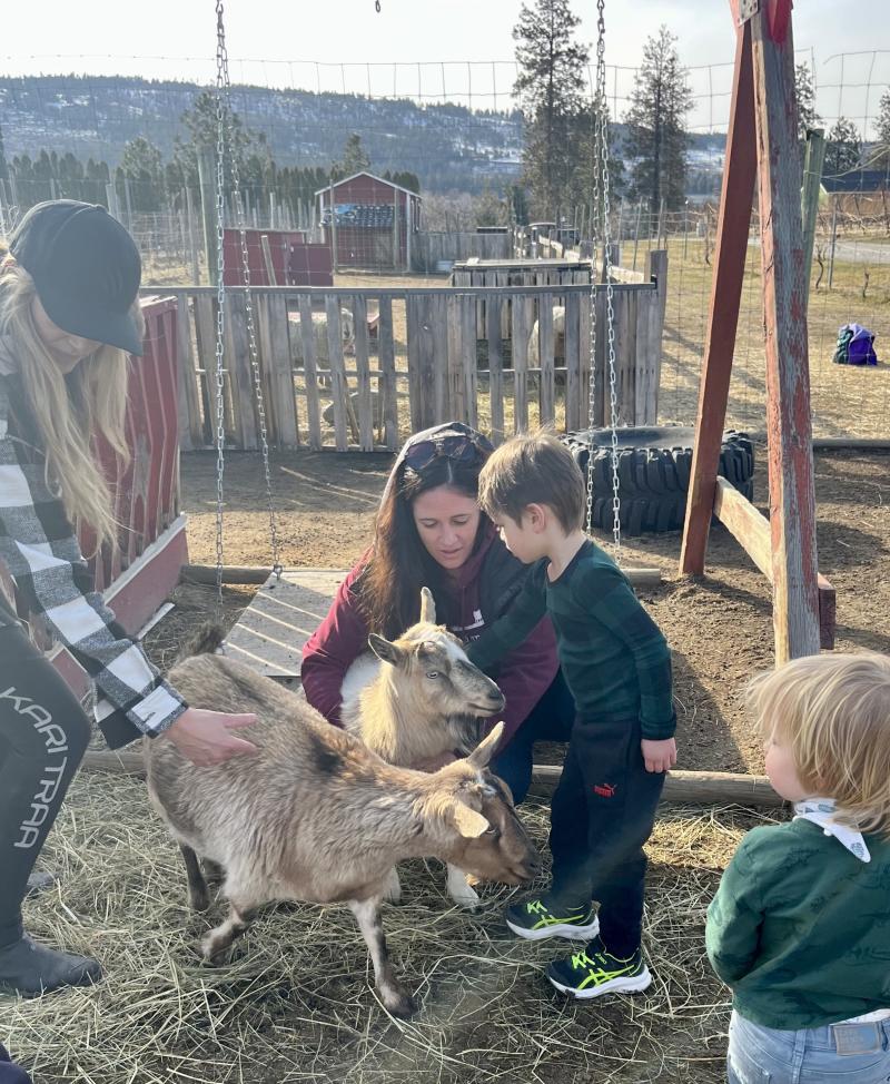 Goats at Off The Grid Winery