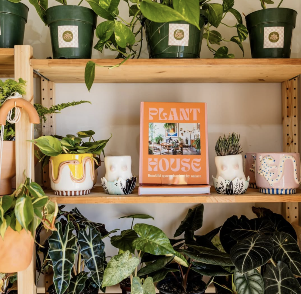 The Plant Society