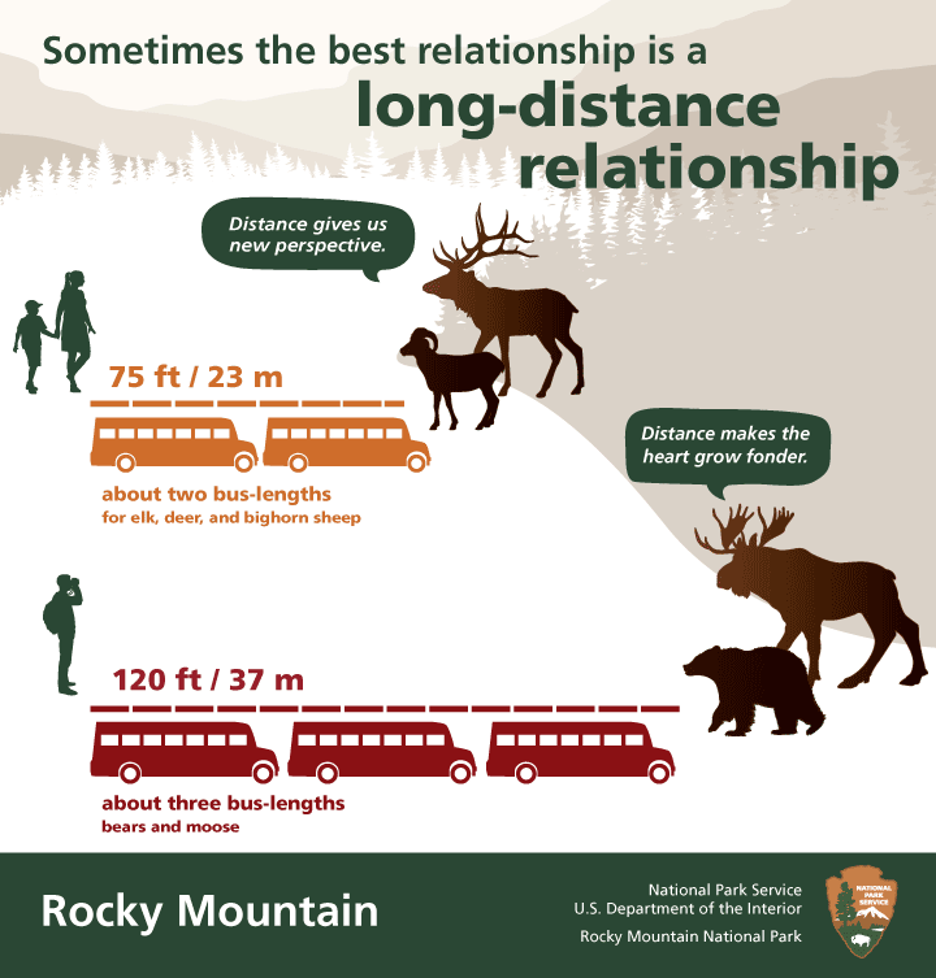 safe elk viewing rmnp graphic