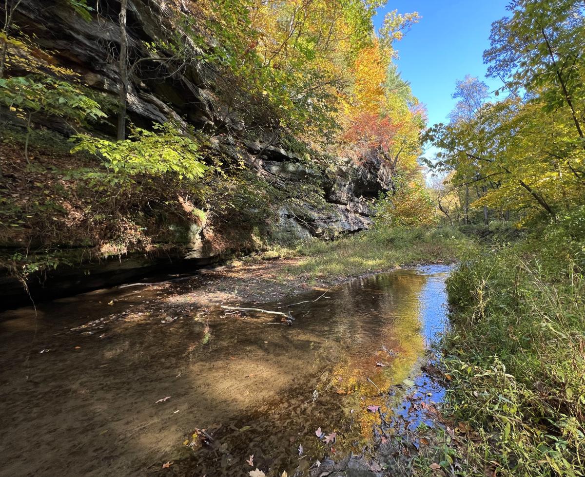 Portland Arch in Fall