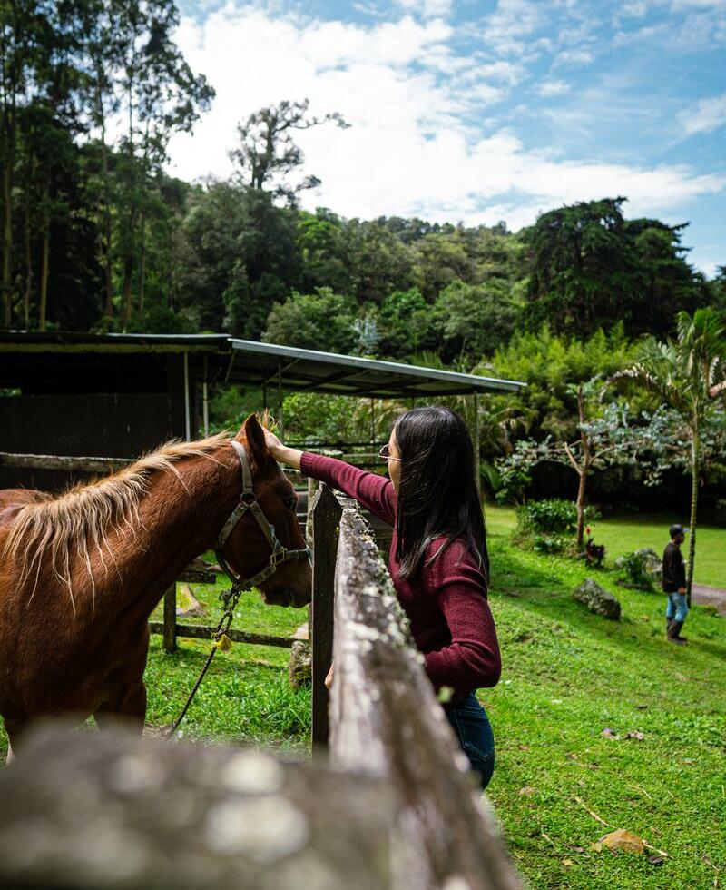 Haras Cerro Punta, Cerro Punta, Chiriquí Province