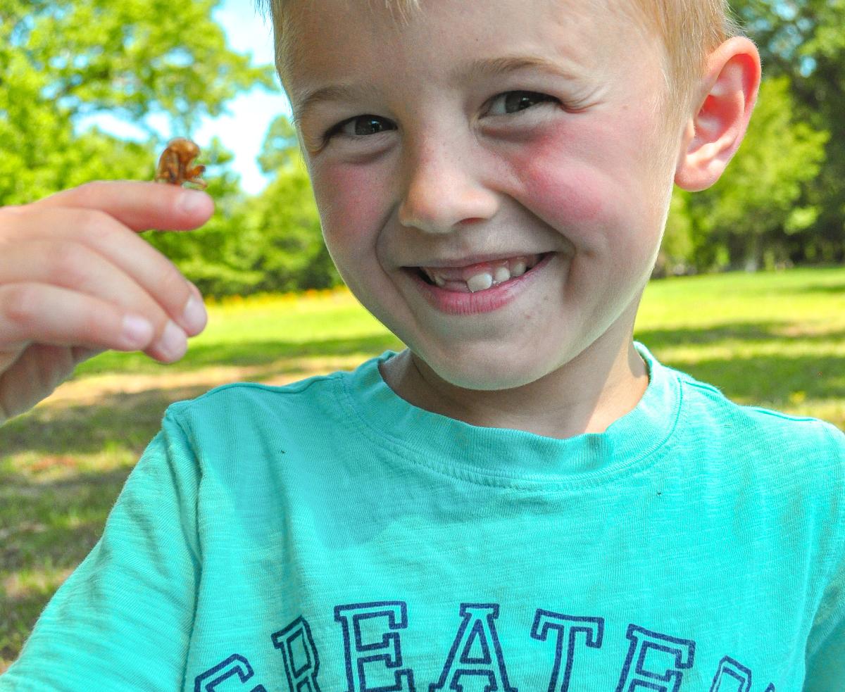 Child with insect on finger at Lockerly Adventure