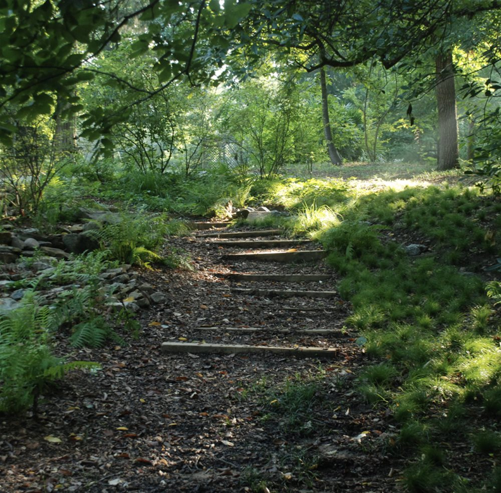 Donald E. Davis Arboretum