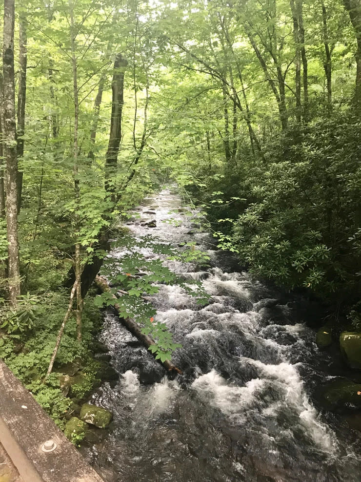 Noland Creek Trail