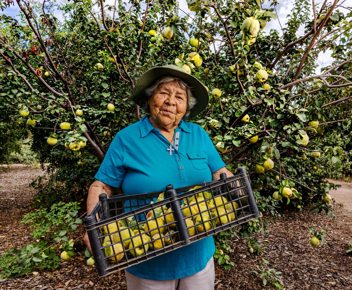 Portrait of an older woman holding a crate of green fruit