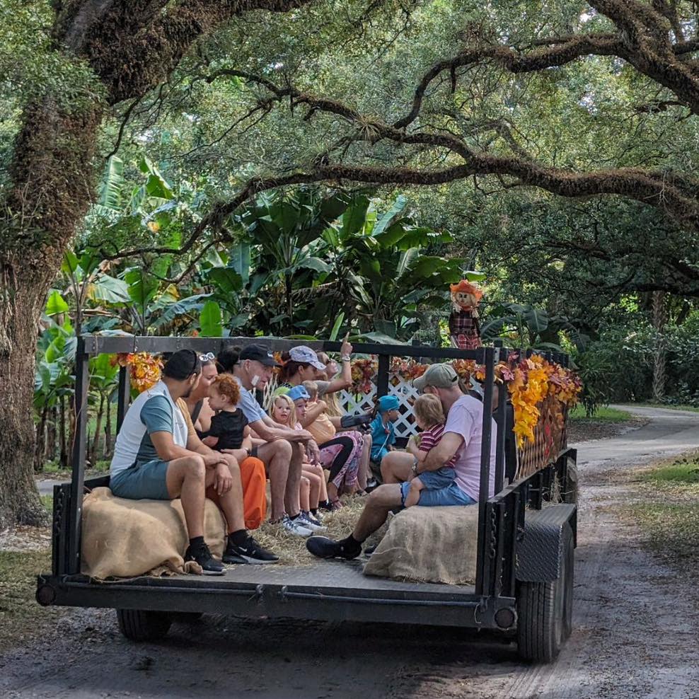 Flamingo Gardens Fall Festival