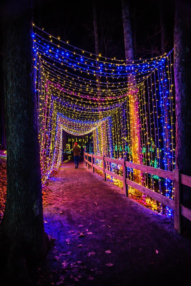 Illuminights - Explore Park - Roanoke, VA