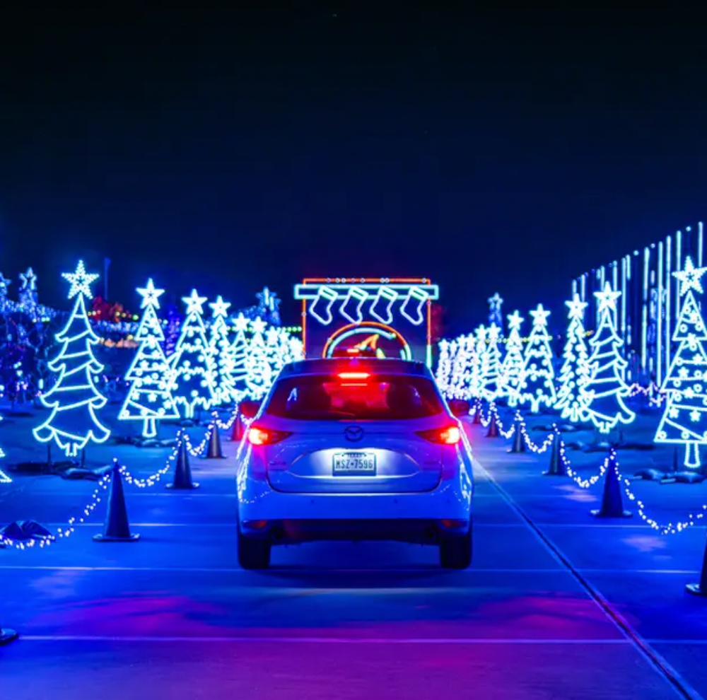 The Light Park