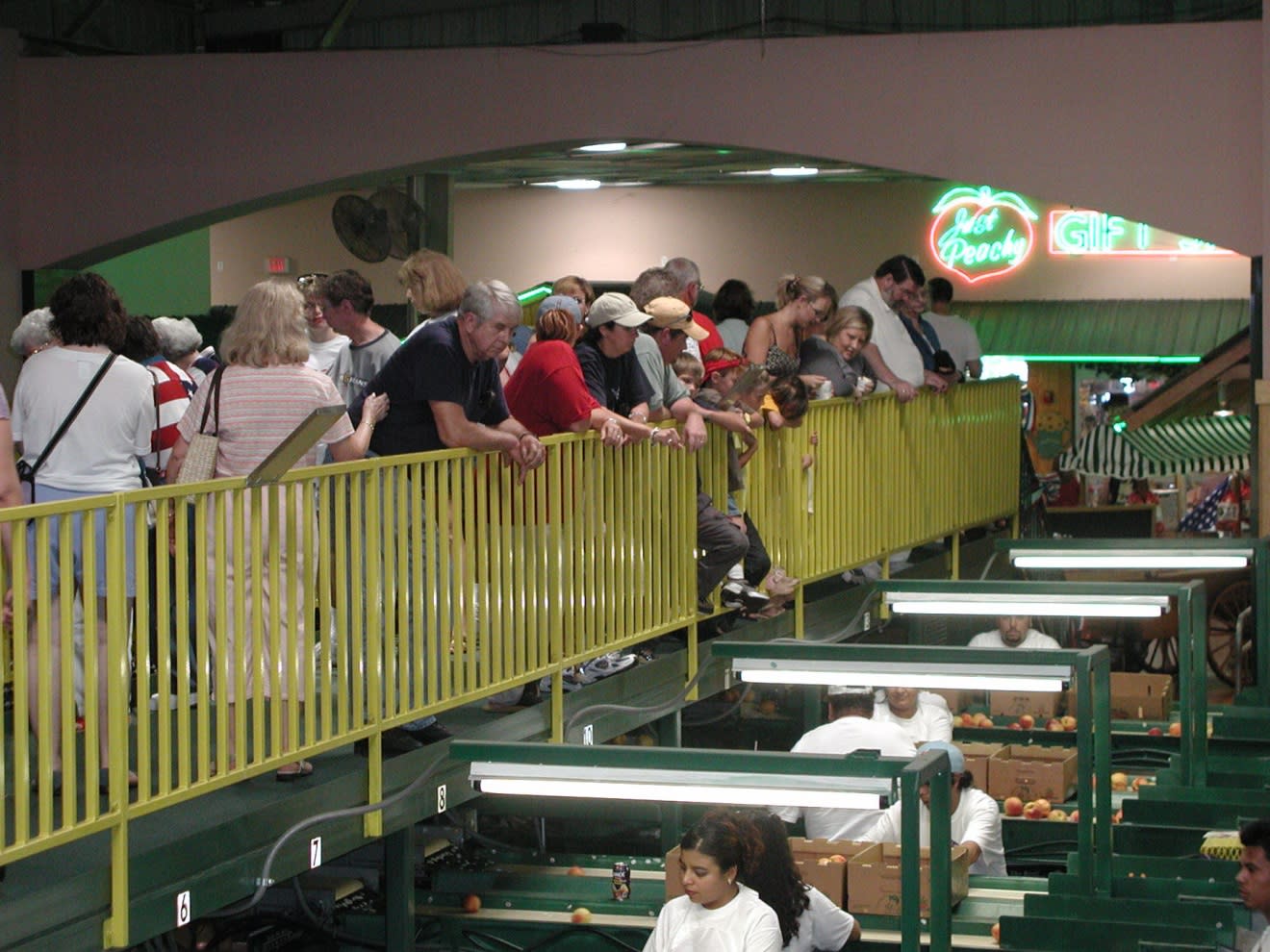Lane Southern Orchard Packing Tour