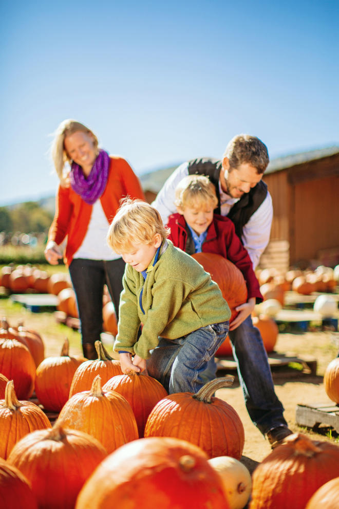 Pumpkin Patch - Jeter Farm Fall Festival - Botetourt County, Virginia