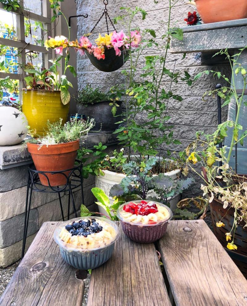 two smoothie bowls on wooden table surrounded by plants