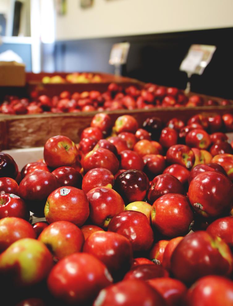 BC Tree Fruits Market