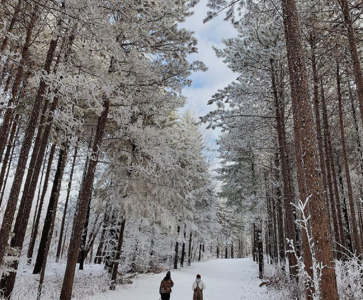 Standing Rocks Cropped