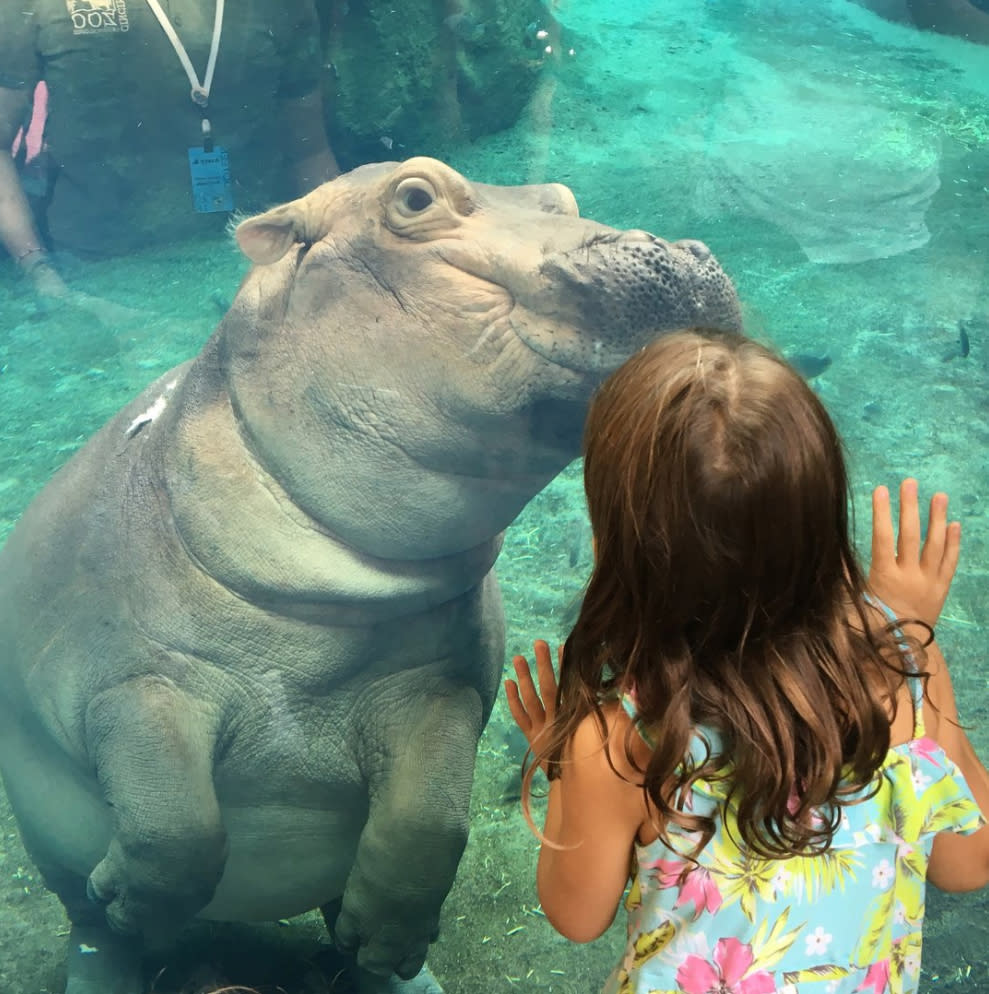 Things to Do - Attractions - Aquariums & Zoos