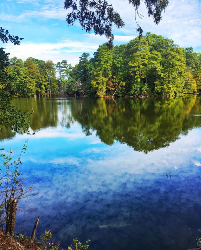 Lake Lawson/Lake Smith Natural Area