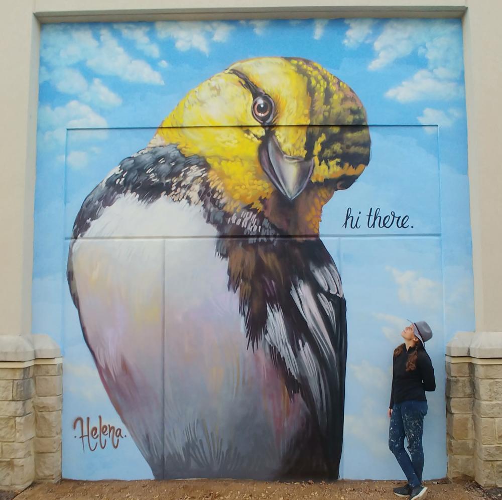 Woman staring at a mural of a large finch with the words "Hi, There".