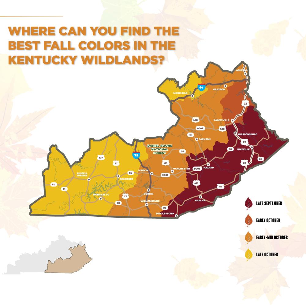 Kentucky Fall Foliage Map