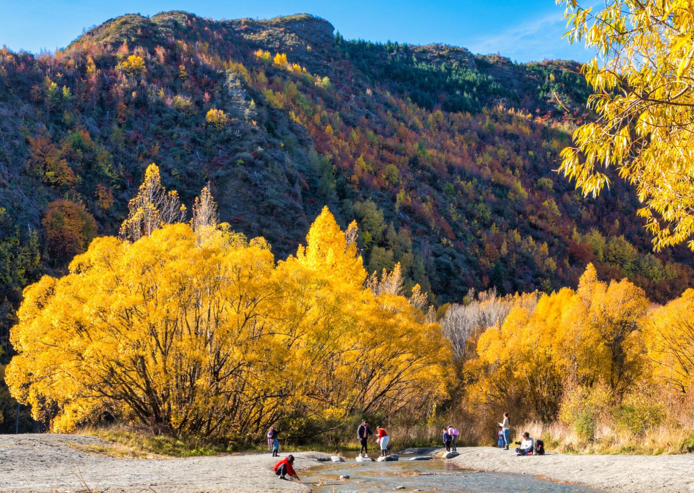 Gold panning in the Arrow River in Autumn
