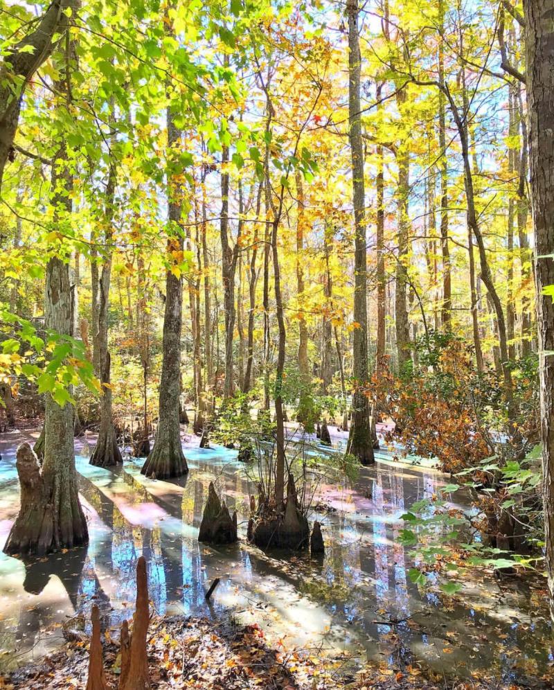 First Landing State Park