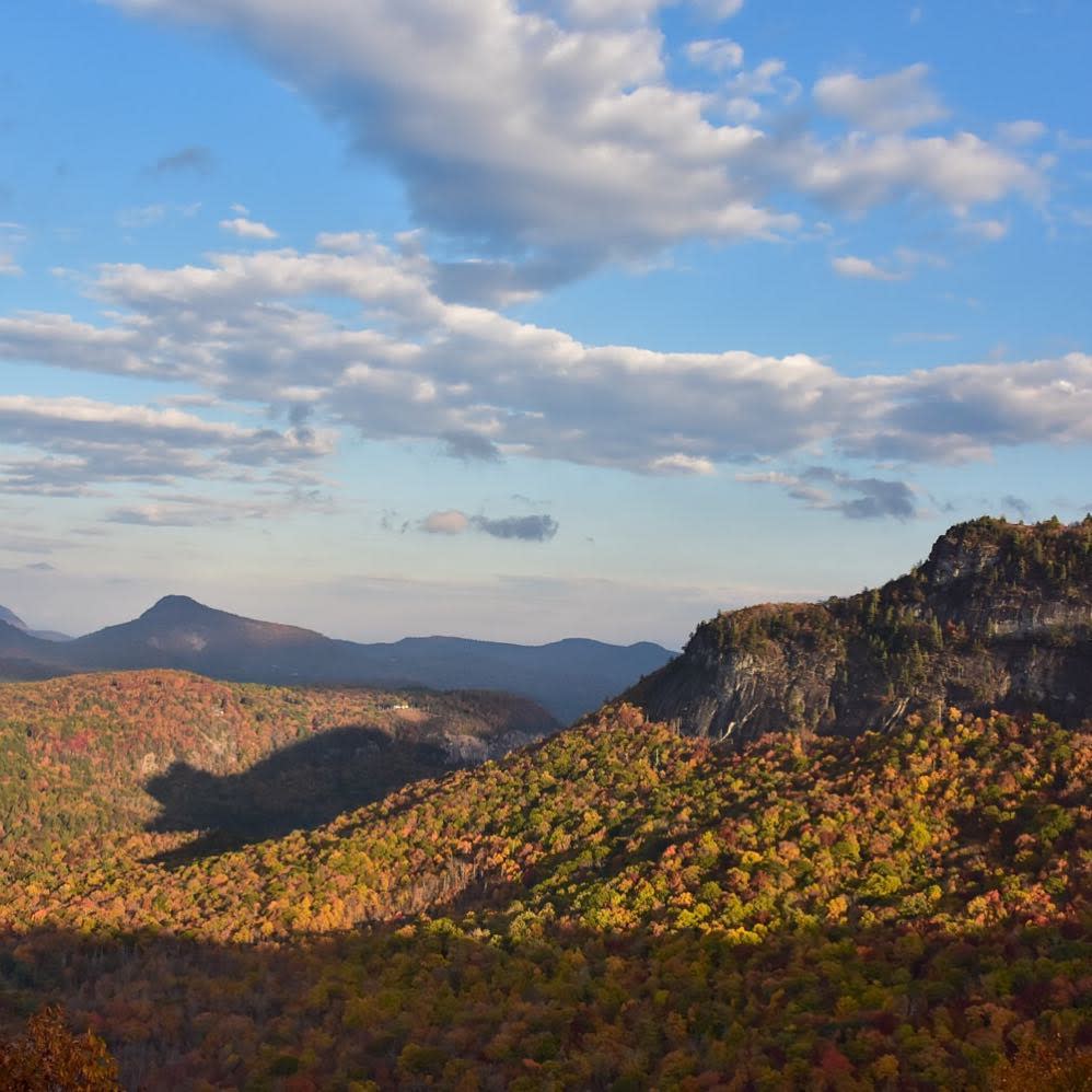 A scenic mountain landscape in autumn under a blue, cloudy sky. On the left side of the valley, a large, dark shadow perfectly shaped like a bear is cast across the colorful gold and orange trees by the sheer cliffs of Whiteside Mountain on the right.