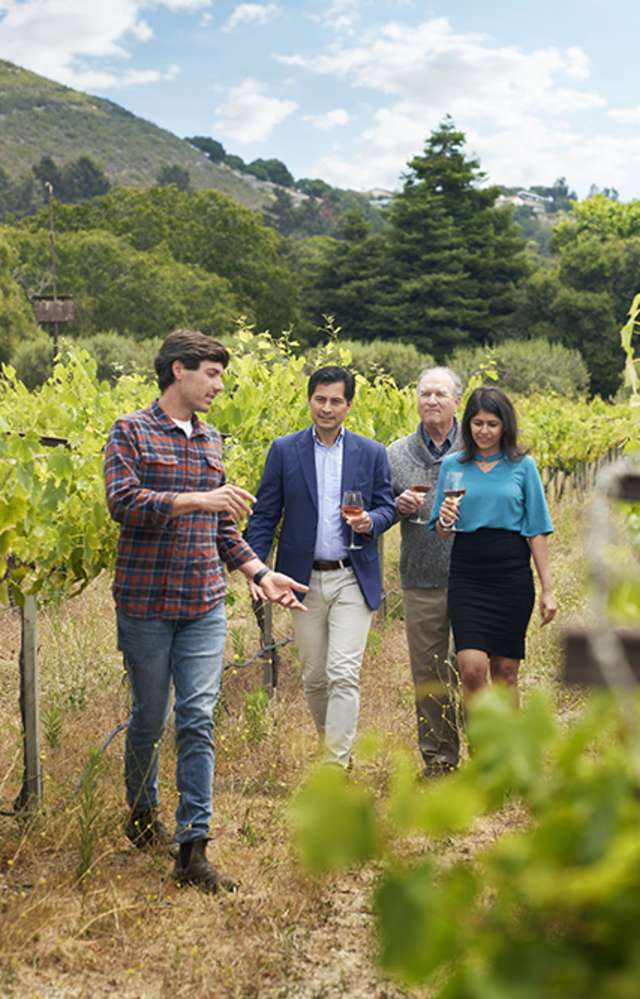 All In: Wine