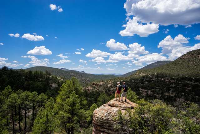 Gila National Forest