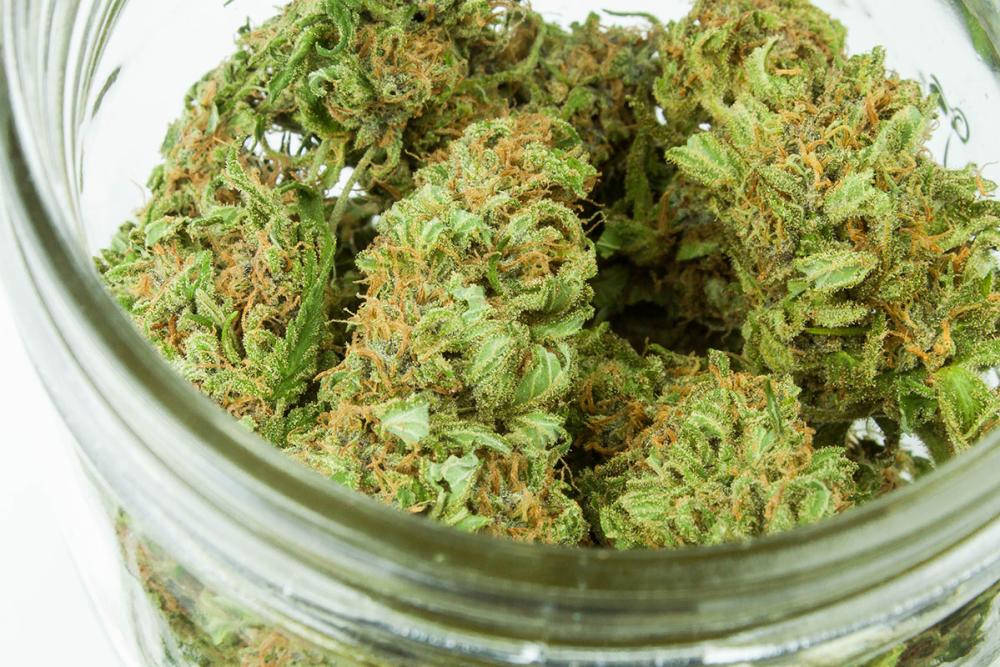 Ann Arbor Cannabis in Jar