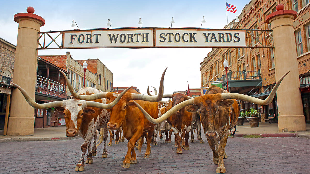 Stockyard