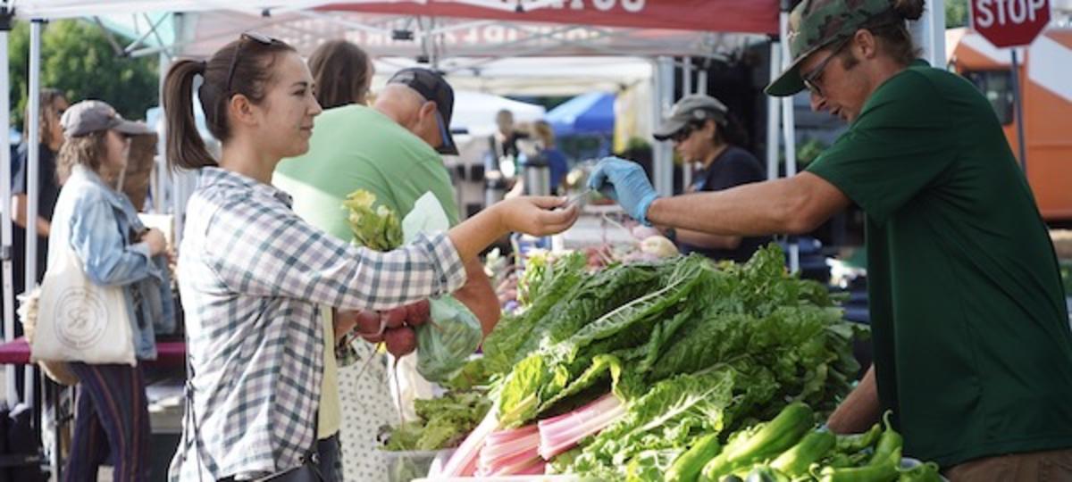 City Park Farmers Market 1